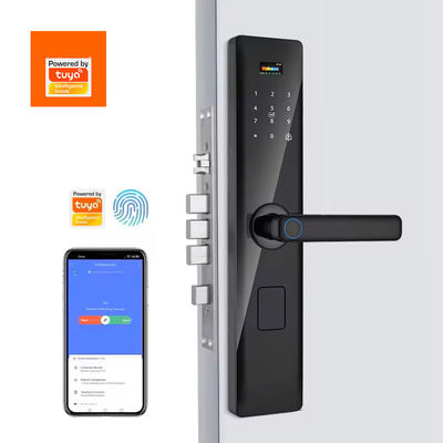 Код RFID IC-карта Смартфонный приложение Разблокировать биометрический отпечаток пальца Умный замок Туя Умный Wi-Fi Цифровой дверной замок